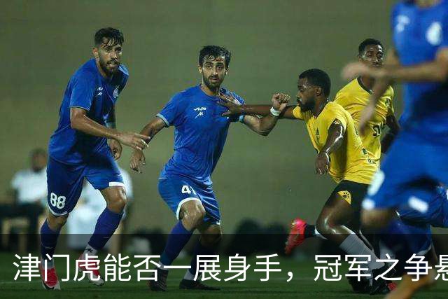 津门虎能否一展身手，冠军之争悬念重重！