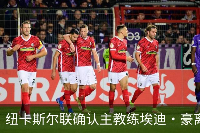 纽卡斯尔联确认主教练埃迪·豪离任